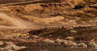 NBA全明星第二轮票选揭晓 东契奇总票领跑 文班亚马跻身前十