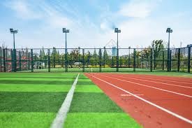 球迷：我今天看到的是奇迹