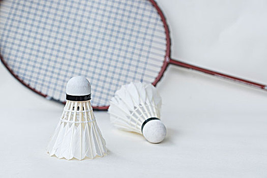 20站以内 20站以内